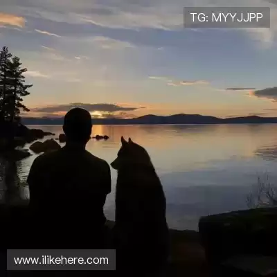 朱晶丹